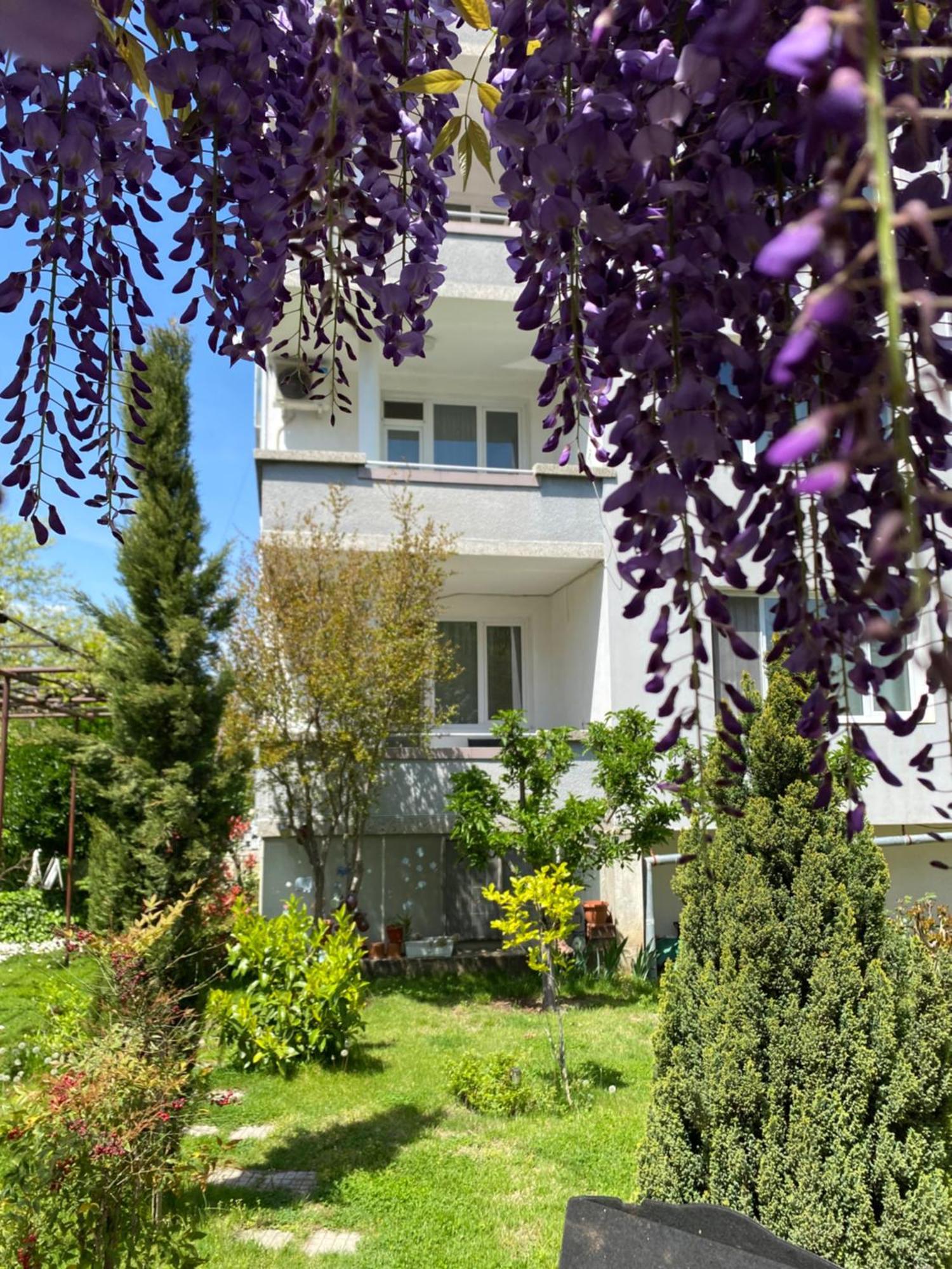 Family Hotel "May" Petrič Exteriér fotografie